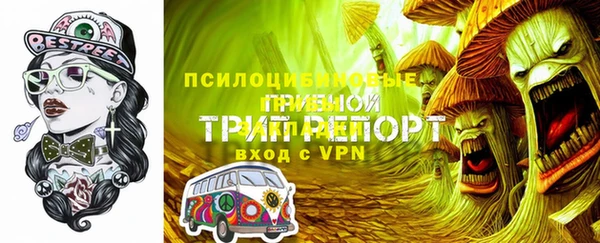 PSILOCYBIN Верея