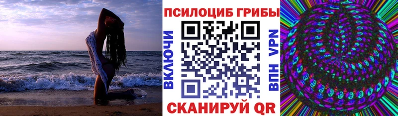 Псилоцибиновые грибы Cubensis  Северск 